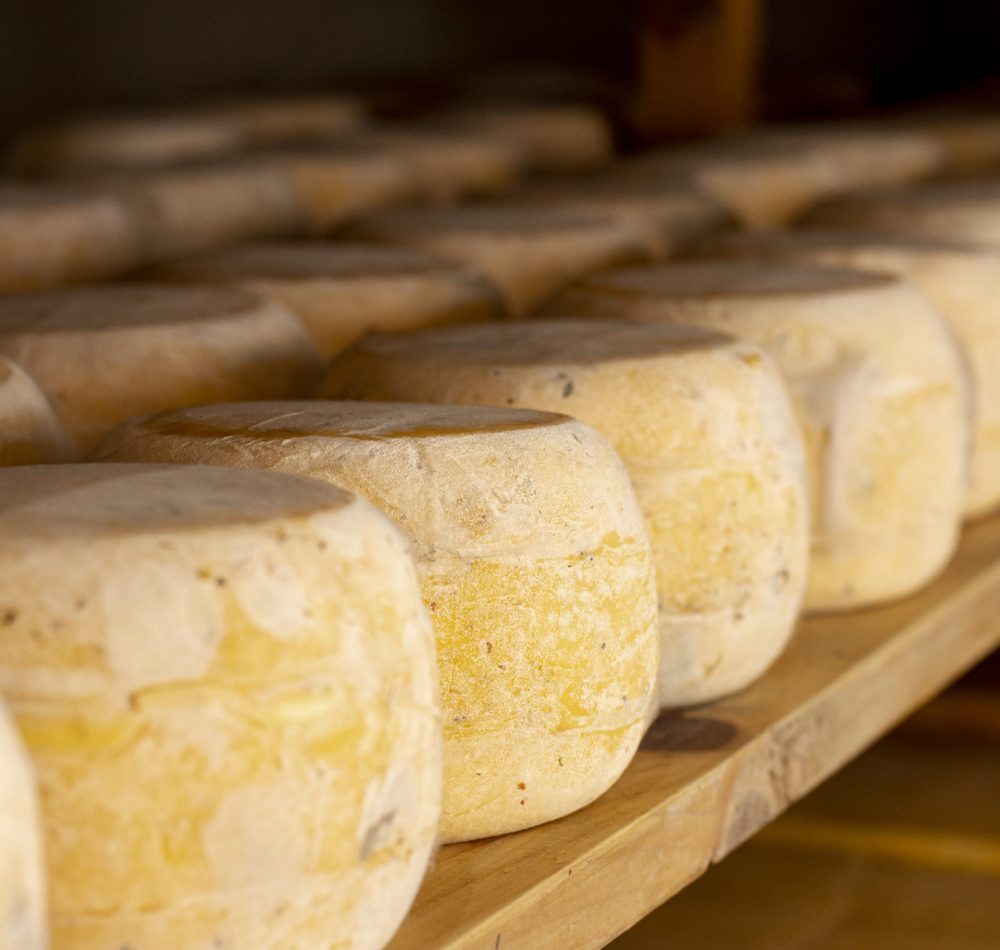 close-up-pieces-mature-cheese